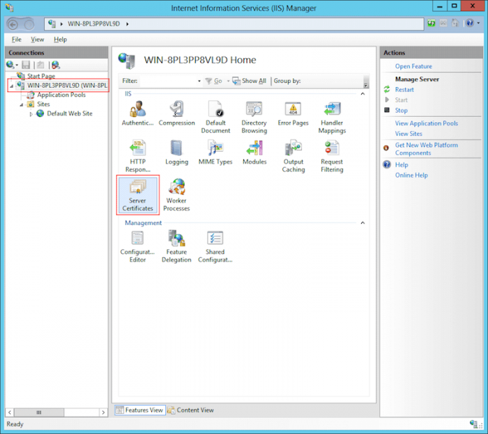 Internet Information Services (IIS) на Windows