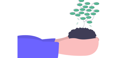 Ландшафтный дизайн от HEDU (irs.academy)