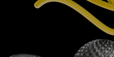 Подготовка к экзамену 1С:Специалист от Яндекс Практикум