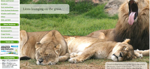 Full Page Image Slideshow: