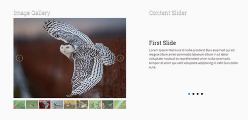 jQuery LightSlider:
